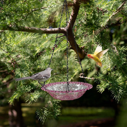 JWDX Bird Feeders for Outdoors Clearance! Hanging Bird Bath Plastic Bird Bath Plate Hanging Tray for Outdoors Hanging Bird Water or Bird Seed Hanging Bird Feeder for Outdoors Bird Bath Bowl S4-Purple
