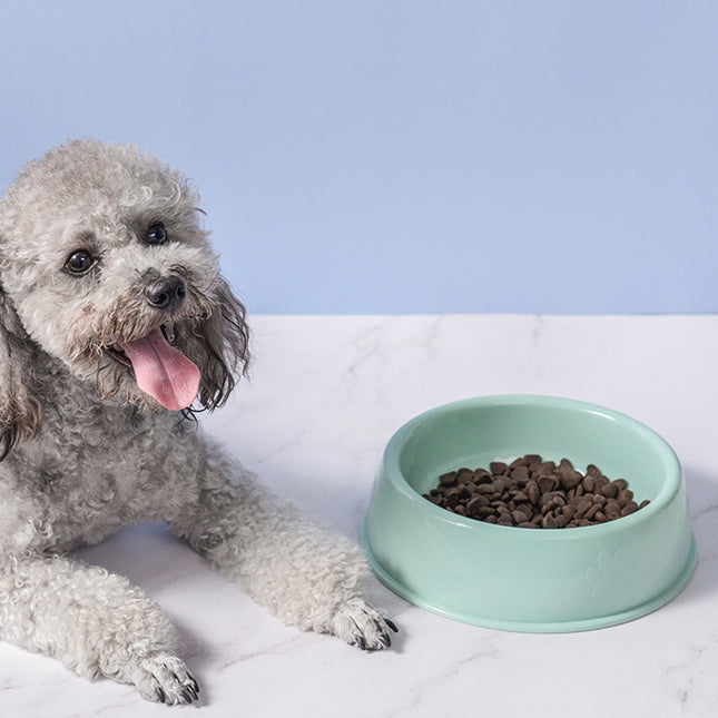 Plastic Dog Bowl Non Slip Candy Color Plastic Pet Food Bowl Shallow Cat Food Dish – product detail