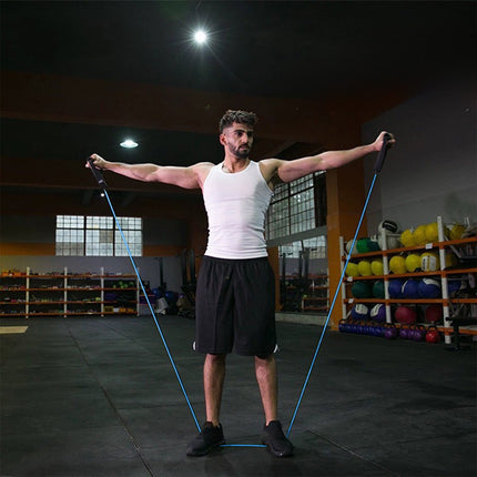 Resistance Bands with Handles, Exercise Bands with Handles, Single Resistance Bands for Resistance Training, Physical Therapy,Home Workouts, Fitness, Pilates,Shoulder And Neck Stretching Equipment Blue