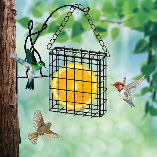 Square Suet Bird Feeder Cage Heavy-Duty Iron with Protective Coating Holds One Cake for Nuthatches – product detail