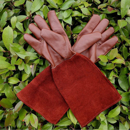 SUCCLACE Long-Gardening-Gloves for Women/Men - Thorn Proof Cowhide Leather Rose/Blackberry Pruning Heavy Duty Gloves Thick Palm Gauntlet Garden Work Gloves with Forearm Protection (Brown-Small) L Brown