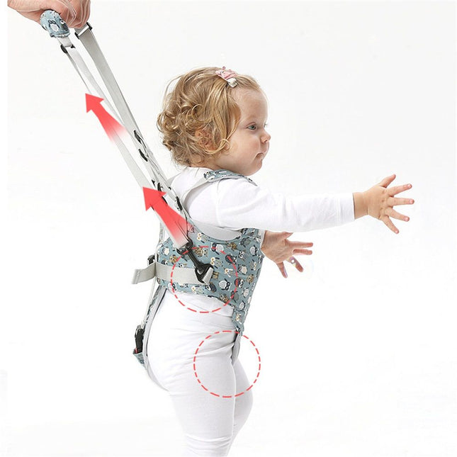 Baby Walker Handheld Kids Toddler Walking Harness Helper Assistant Protective Belt Child Activity Walker – product detail