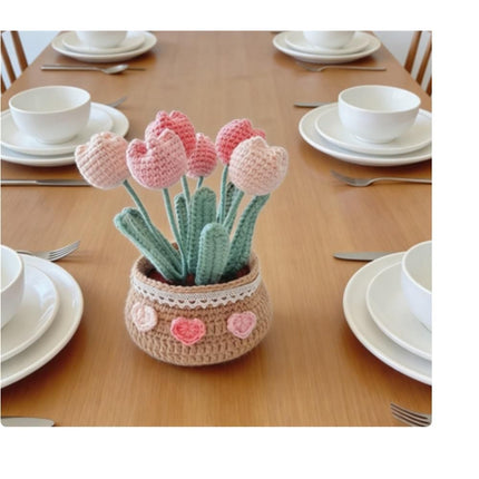 Crochet Kit for Beginners, Tulip Crochet Starter Kit Beginner for Complete Beginners Adults, Crocheting Knitting Kit
