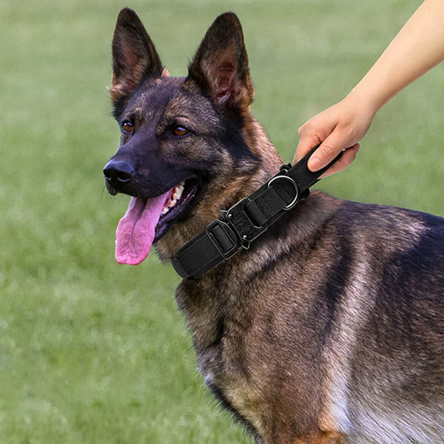 Dog Collar and Leash Set Heavy Duty Military Dog Collar with Handle and Metal Buckle for Medium and Large – product detail