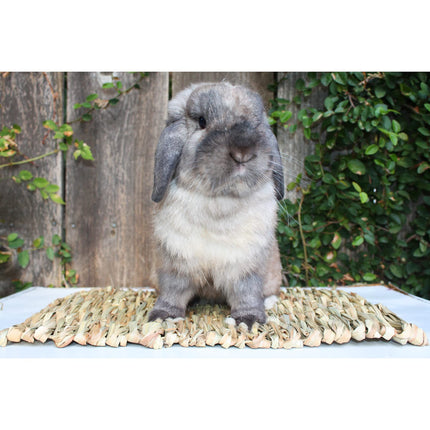 2pcs Woven Grass Mat - All Natural Chewable Grass Mat for Small Pets  Pig Foot Mat Rabbit Grass Nest Pet Supplies（small size）