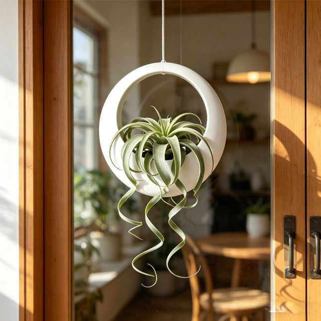 3D-printed circular hanging plant pot white V1195-VYY0092