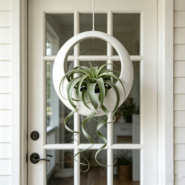 3D-printed circular hanging plant pot white – product detail
