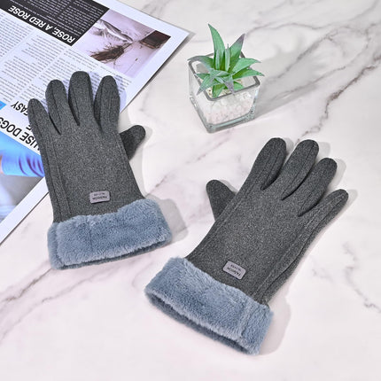 Gloves for Women Girl, Winter Touch Screen, Comfortable and Warm Double-Sided Velvet Lining Thickened Warm Glove,Grey