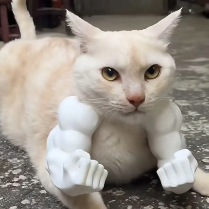 3D printed Hulk Cat Arm Black