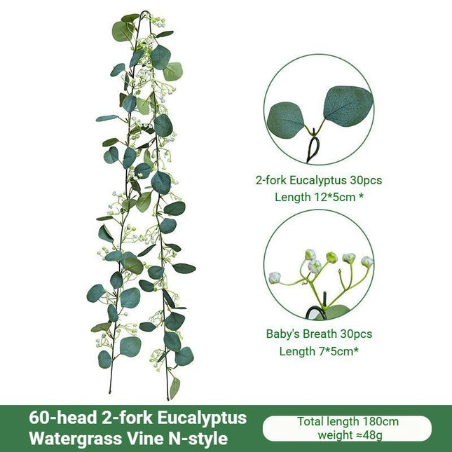 Eucalyptus Aquatic Vine