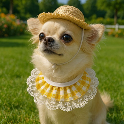 Straw Hat And Yellow Lace Bib