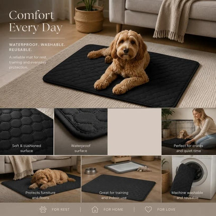 2pcs Black Pet Pad, Size XL (100×70cm)