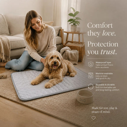 2pcs Grey Ice Silk Pet Pad, Size XL (100×75cm)
