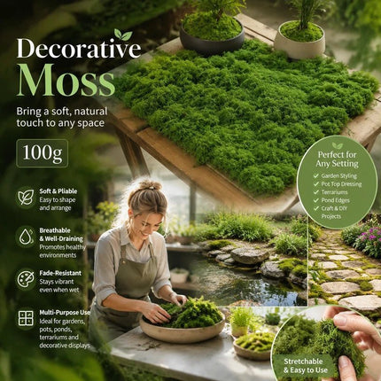 Dark Green Preserved String Moss Indoor Plant Pot Top Dressing 100g