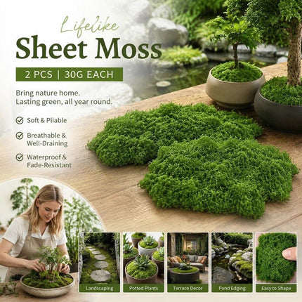 Dark Green Preserved String Moss Bonsai Top Dressing Kit Set of 2 Bags 30g Each