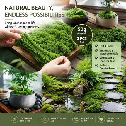 Dark Green Artificial String Moss Terrarium Filler Set of 3 Bags 50g
