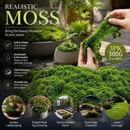 Dark Green String Moss Indoor Plant Decor Set of 3 Bags 100g
