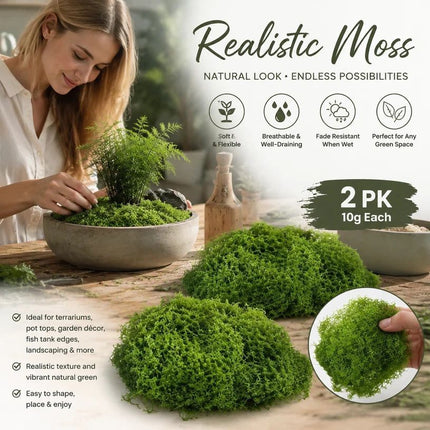 Light Green Mini Preserved String Moss Bonsai Filler Set of 2 Bags 10g