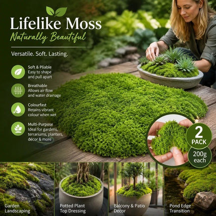 Light Green Bulk Preserved Moss Terrarium Landscape Kit Set of 2 Bags
