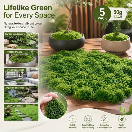 Dark Green Artificial String Moss Terrarium Filler Kit Set of 5 Bags