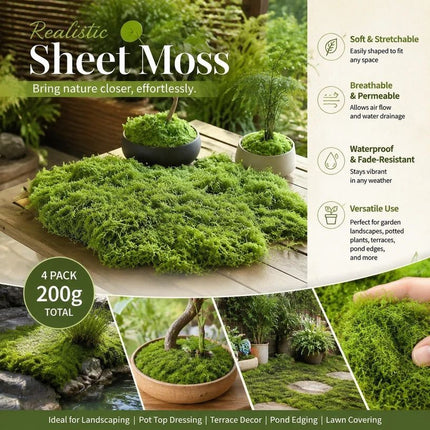 Light Green Bulk Preserved Moss Landscape Decor Set of 4 Bags 200g