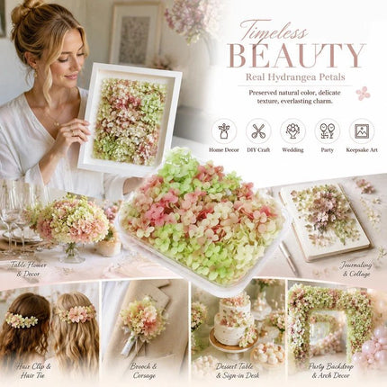 Warm Mixed Tone Preserved Hydrangea DIY Floral Arrangement Supply 5g Pack