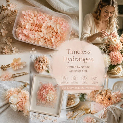 Hibiscus Gradient Preserved Hydrangea Dried Flower DIY Handmade Material 5g Box