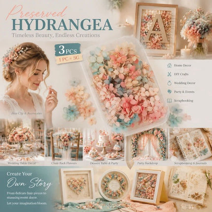 Dreamy Gradient Preserved Hydrangea DIY Craft Flower Kit 5g Per Box Set of 3