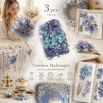 Blue Purple Tone Preserved Hydrangea Dried Floral DIY Supply Pack 3 Boxes ×5g