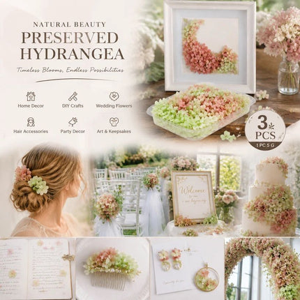 Warm Mixed Shade Preserved Hydrangea Floral Arrangement Kit 3 Pack 5g