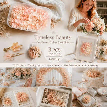 Hibiscus Tone Preserved Hydrangea Gradient Dried Flower DIY Kit 3×5g Pack