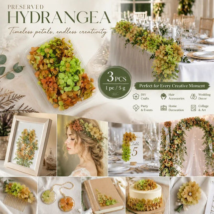 Soft Jade Gradient Preserved Hydrangea Handcraft Floral Supply Set of 3