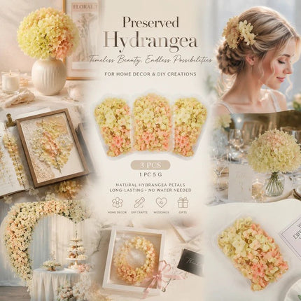 Modern Mixed Shade Preserved Hydrangea Wedding DIY Decor Kit 3 Boxes 5g