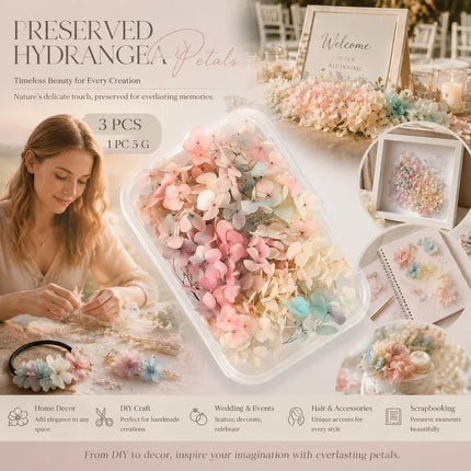 Champagne Gradient Preserved Hydrangea Dried Craft Flower Pack of 3 Boxes 5g