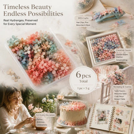Dreamy Gradient Preserved Hydrangea DIY Handcraft Material Bundle 6 Boxes ×5g
