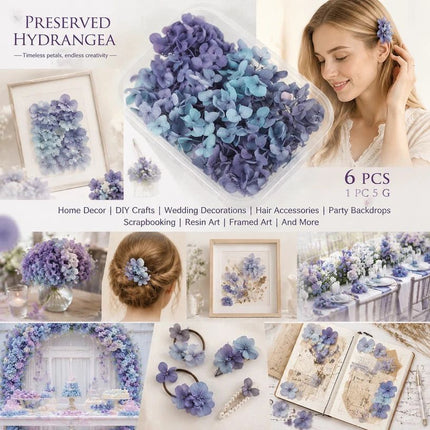 Blue Purple Shade Preserved Hydrangea Dried Floral Craft Supply Pack of 6 Boxes