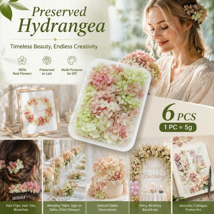 Warm Mixed Tone Preserved Hydrangea Soap Craft Floral Kit 6 Boxes 5g Each