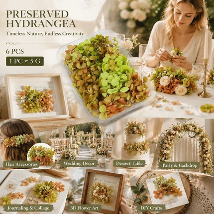 Soft Jade Tone Preserved Hydrangea Resin Craft Supply Kit 6×5g Boxes