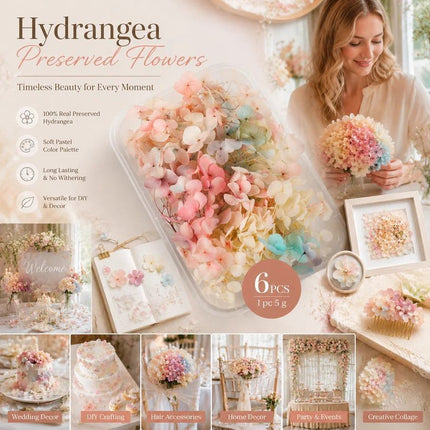 Champagne Gradient Preserved Hydrangea Handcraft Flower Pack 6 Boxes 5g