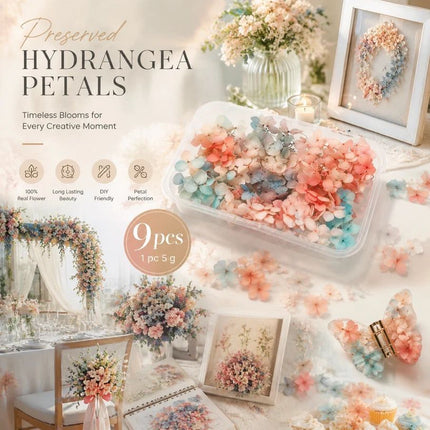 Dreamy Gradient Preserved Hydrangea Bulk DIY Craft Flower Pack 9 Boxes 5g Per Box