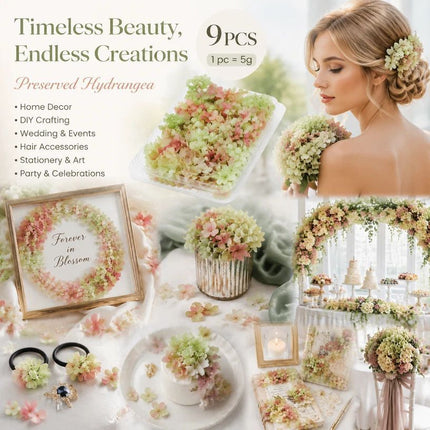 Warm Mixed Shade Preserved Hydrangea Craft Accessory Bundle Set of 9 Boxes