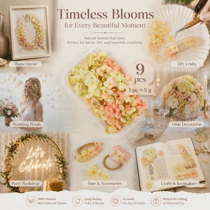Modern Mixed Shade Preserved Hydrangea DIY Event Decor Flower Pack of 9 Boxes