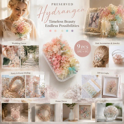 Champagne Gradient Preserved Hydrangea Craft Floral Bulk Kit 9 Boxes 5g Each