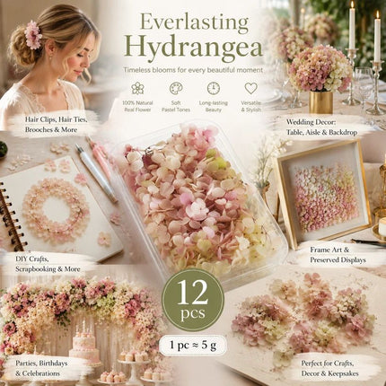 Taro Purple Gradient Preserved Hydrangea Wedding DIY Floral Bulk Bundle 12×5g Boxes