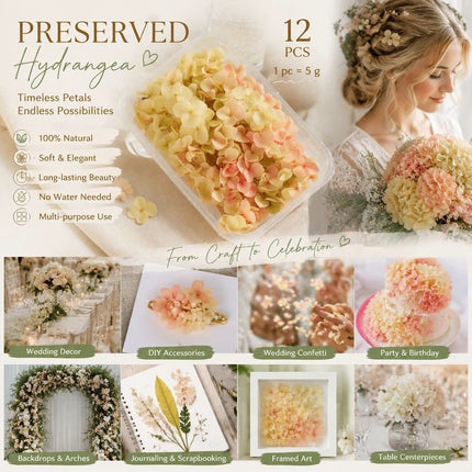 Modern Mixed Shade Preserved Hydrangea Event DIY Decor Bulk Bundle of 12