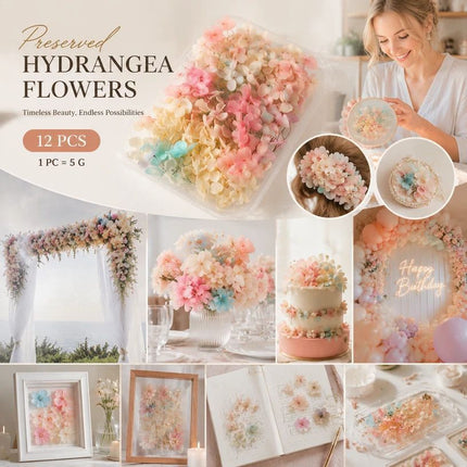 Champagne Gradient Preserved Hydrangea Handcraft Floral Large Kit 12 Boxes 5g