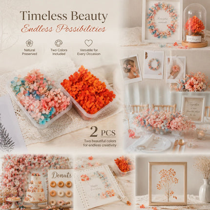 Dreamy Tone & Violet Pink Gradient Hydrangea Preserved Flower DIY Accessory Pack 2 Boxes