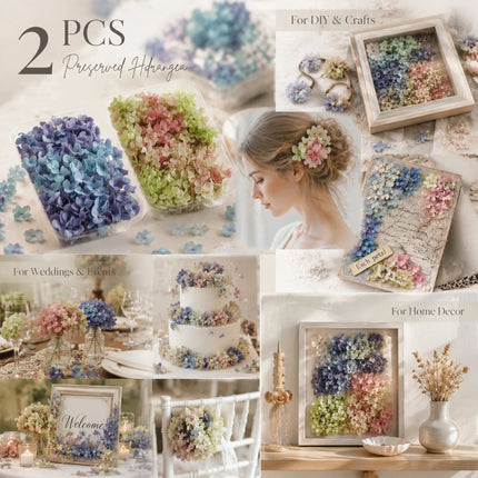 Blue Purple Shade & Warm Mixed Shade Preserved Hydrangea Fan Making Dried Flower Kit 2 Pack