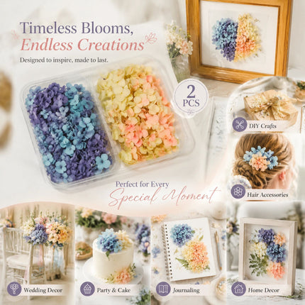 Blue Purple Shade & Soft Jade Tone Preserved Hydrangea Gradient Floral DIY Pack 2 Boxes