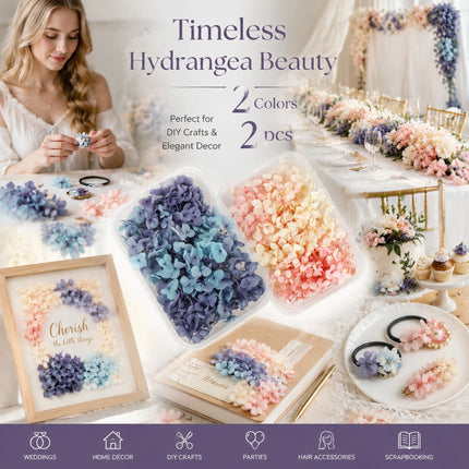 Blue Purple Shade & Champagne Tone Gradient Preserved Hydrangea